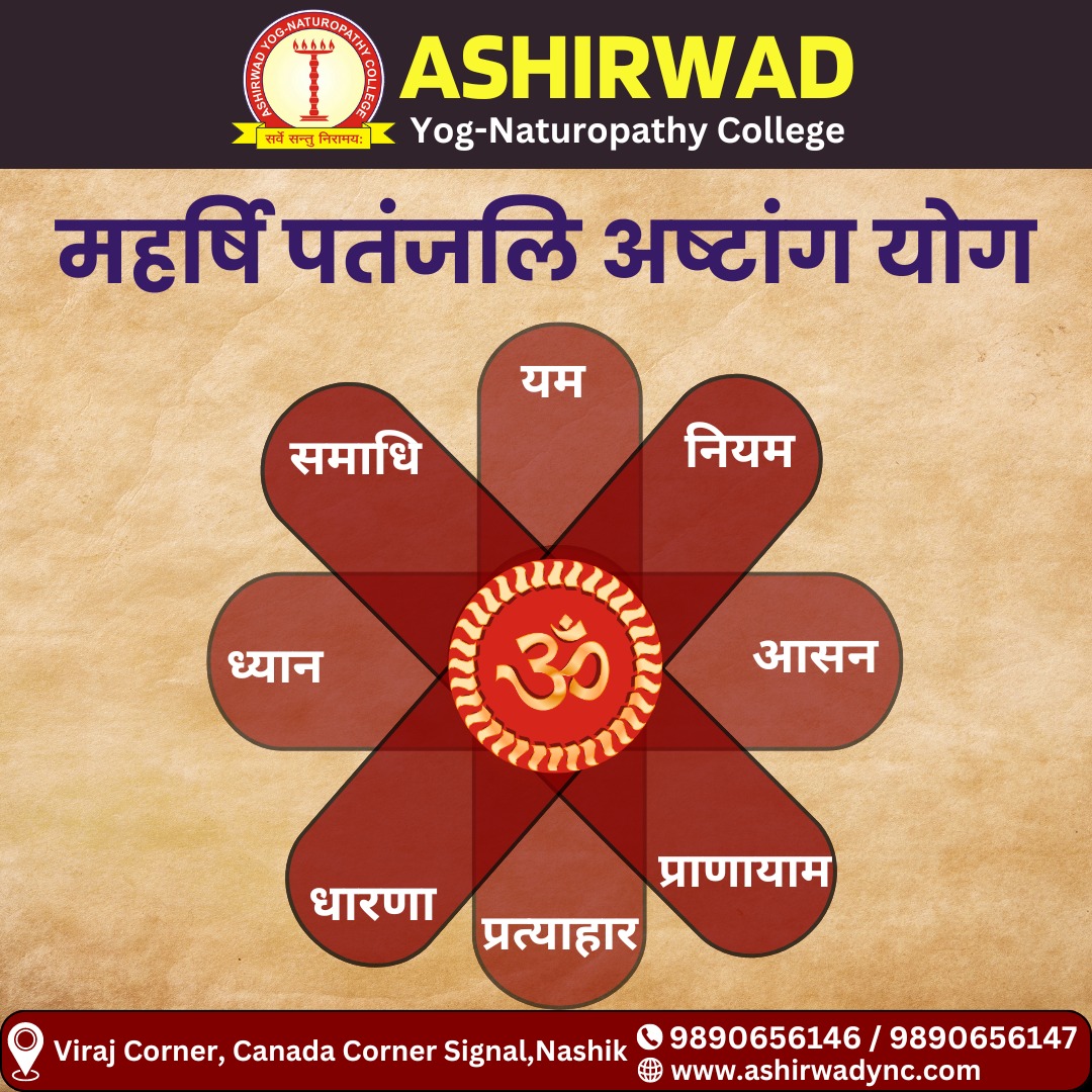 gallery instagram image pantchali